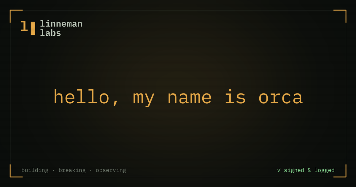 Hello, my name is Orca